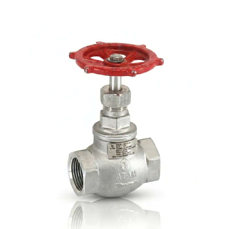 Globe Valves